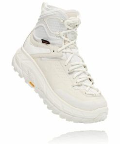 Stonesun.shop8ede1f0ed1 1